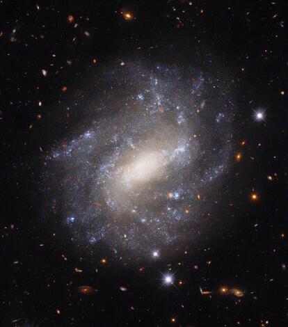 "Hubble Spies a Lonely Spiral"